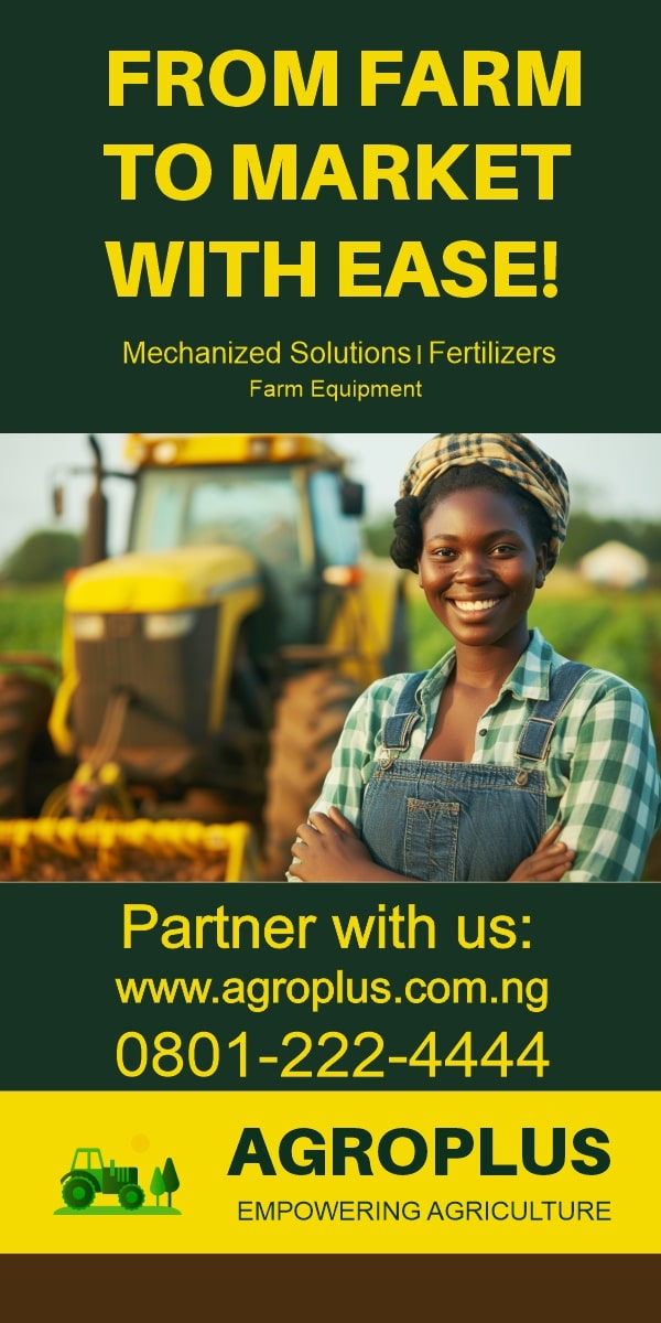  Birthday Celebration banner designed for High Profoled a Personality in Abuja